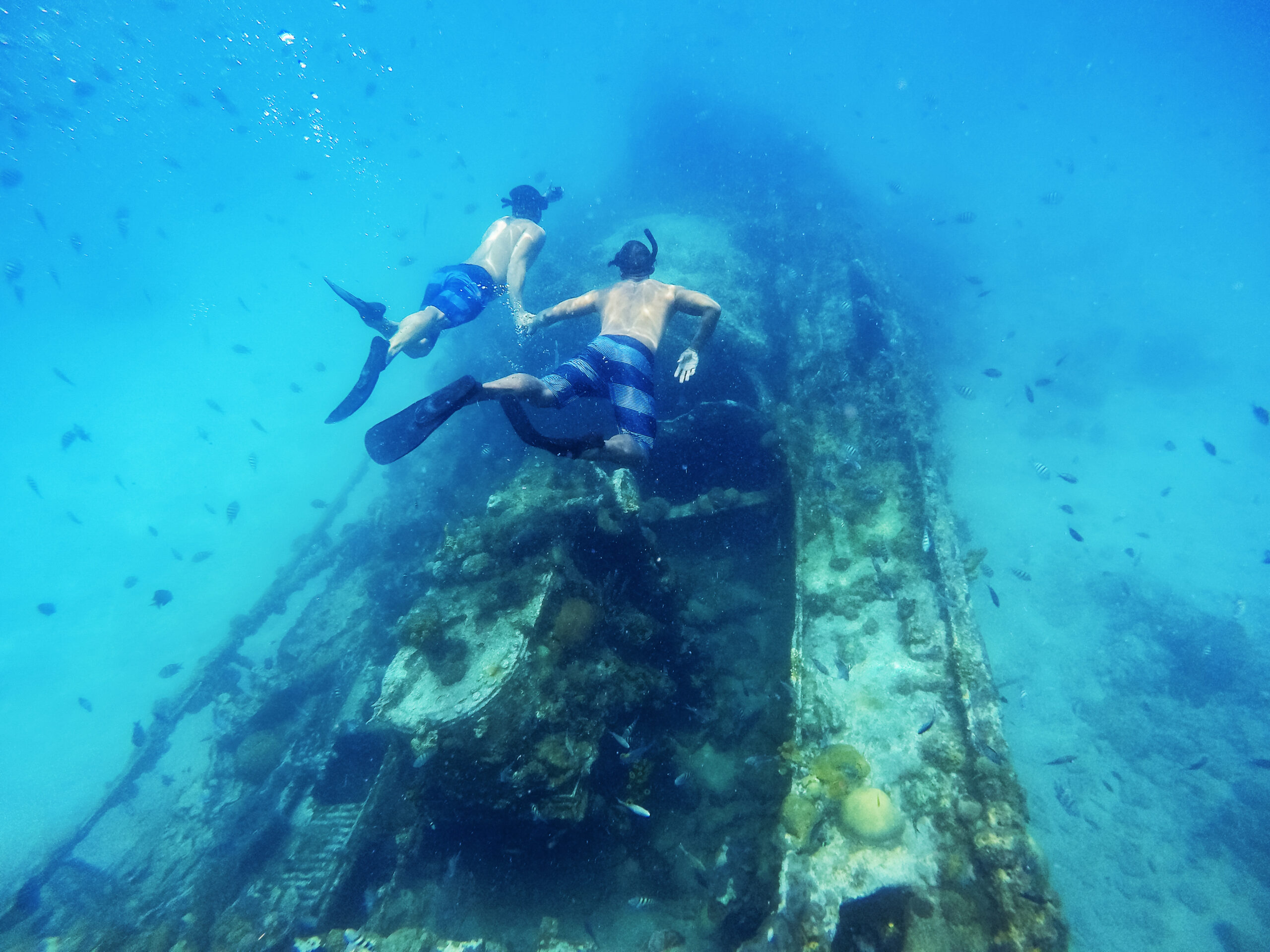 RCI_Barbados_Snorkel